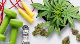 Как сочетать высоко и низкострессовые тренировки