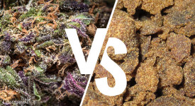 Хеш и марихуана – в чем разница?