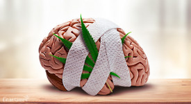 Лечение рассеянного склероза каннабиноидами