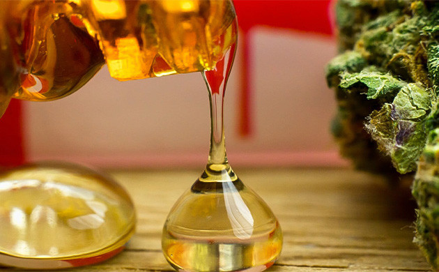 Что такое классические экстракты каннабиса? Производство классических экстрактов: основные методы