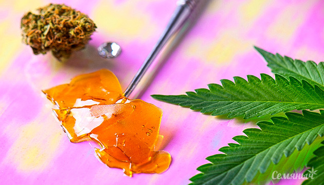 Методы экстракции марихуаны: эффективность, оптимизация чистоты