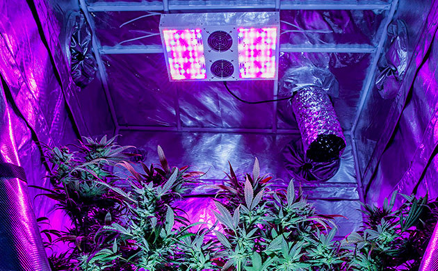 Преимущества LED освещения в индоре