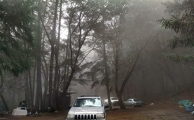 Как происходит трудоустройство Трудоустройство на нелегальной ферме