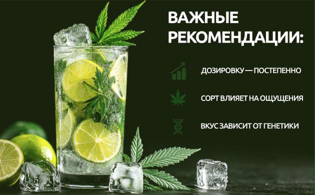 Рекомендации по использованию