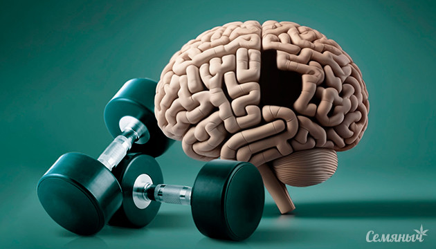 Борьба с Альцгеймером: роль каннабиса