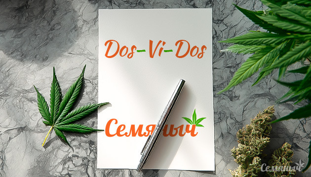 Dos-Vi-Dos от сидбанка «Семяныч»