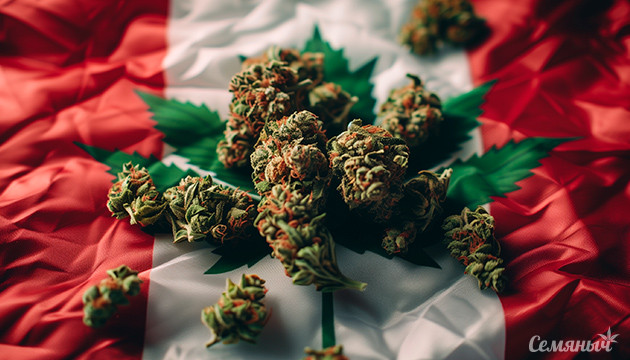 Сорта из Канады