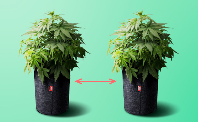 Контролировать температуру и уровень влажности