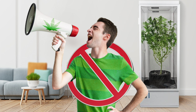 Не кричать о гровинге