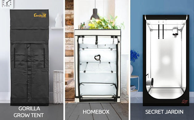 Тенты для выращивания каннабиса