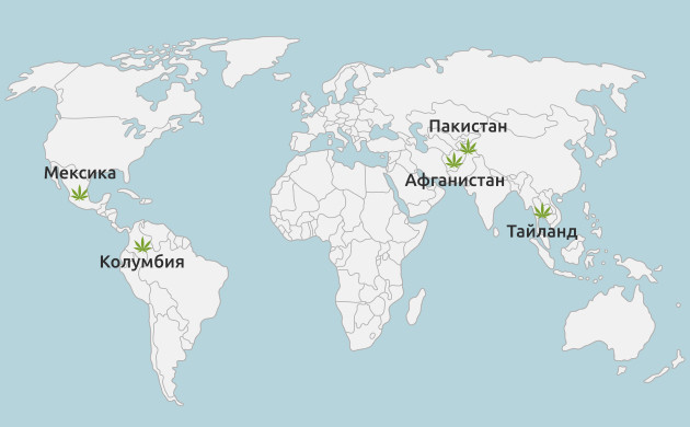 европейские и американские генетики конопли Места происхождения марихуаны