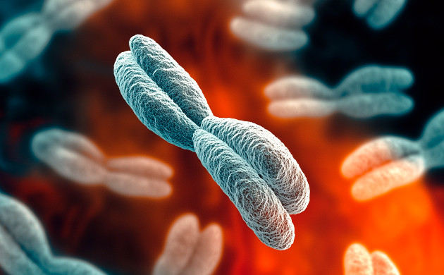 Полиплоидизация и ГМО