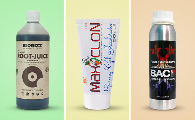 Виды стимуляторов корнеобразования Стимуляторы корнеобразования жидкие, гелеобразные, порошковые