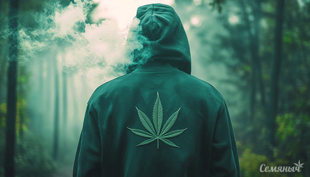 Аромат марихуаны: приятный или нет? Запах конопли: как избежать?