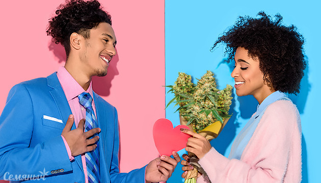 Сорта марихуаны к 14 февраля Сорта с цветочным ароматом