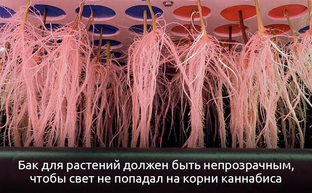 Как сделать аквапонику своими руками