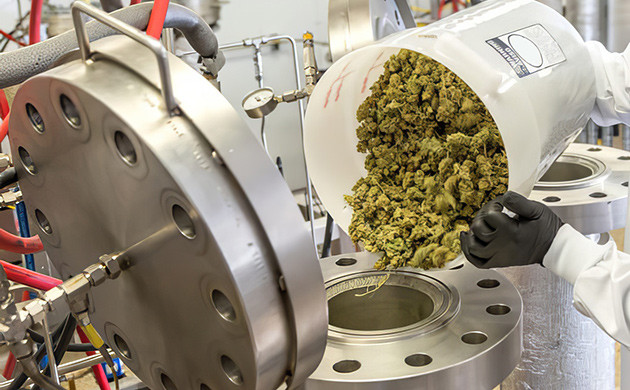 Процесс CO₂-экстракции каннабиноидов