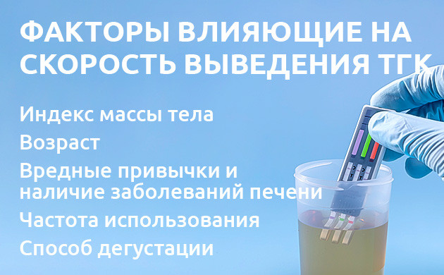 От чего зависит скорость выведения каннабиса из организма Скорость очищения организма от каннабиса: от чего зависит