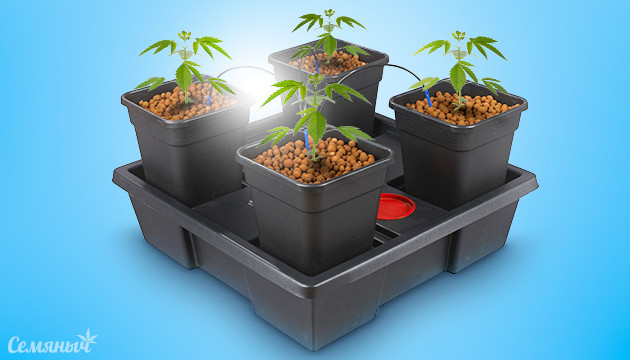 Как настроить автоматический полив