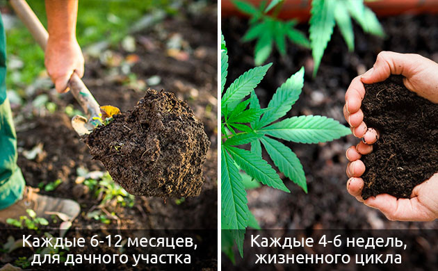 Частота внесения живых организмов Частота внесения добавок в живую почву