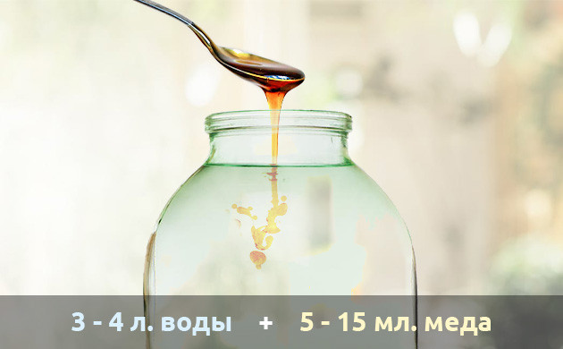 Рецепт подкормки из меда