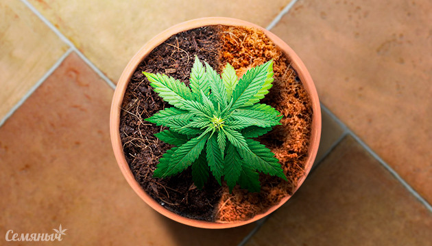 торфяной мох и кокосовая койра для конопли