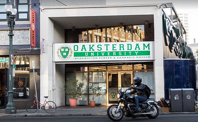 Здание Oaksterdam University