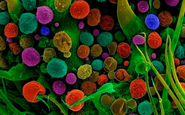 Разноцветные шарики на зеленом фоне