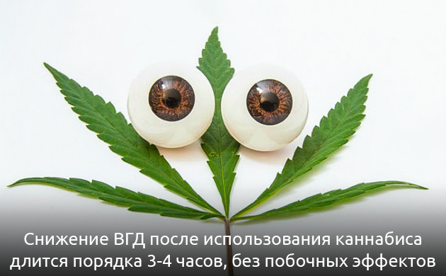 Медицинская марихуана: эффективность против глаукомы