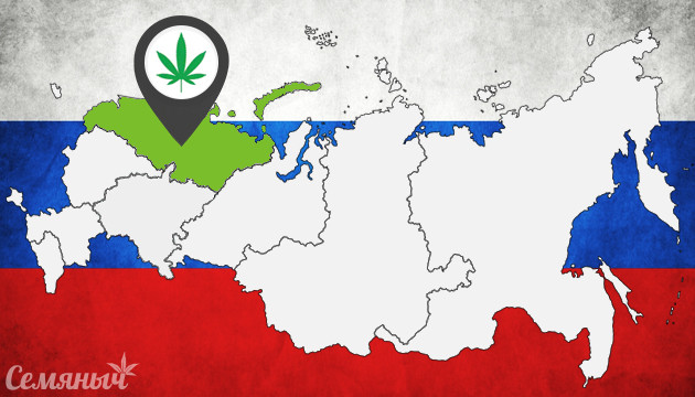 Сорта для северных регионов