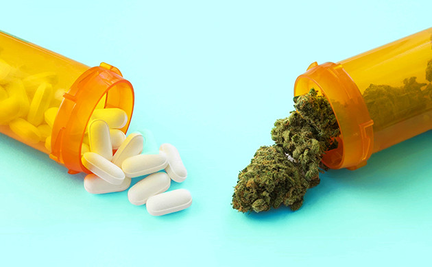 Болеутоляющий эффект конопли Марихуана и обезболивающие