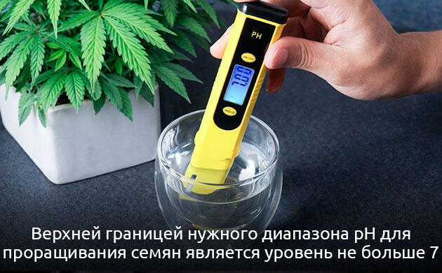Оптимальный pH для проращивания семян каннабиса: 5,5 - 7,0