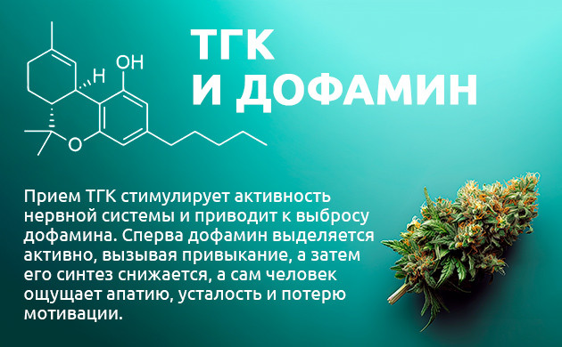 ТГК и дофамин Влияние ТГК на уровень дофамина
