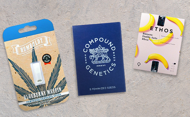 Мастодонты канна-индустрии из США Новая эпоха каннабиса в Америке