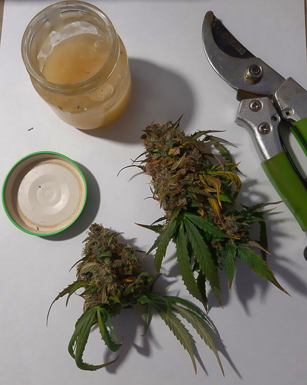 Осмотр Critical Orange Punch Auto