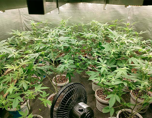 Влияние дождей на условия