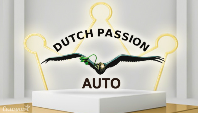 Лучшие автики от Dutch Passion Автоцветущие сорта конопли от Dutch Passion