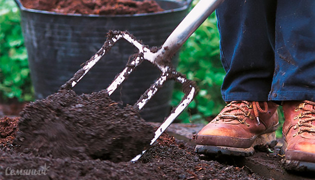 Как подготовить почву для выращивания в аутдоре