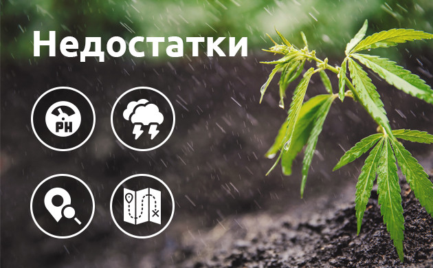 Минусы открытого грунта