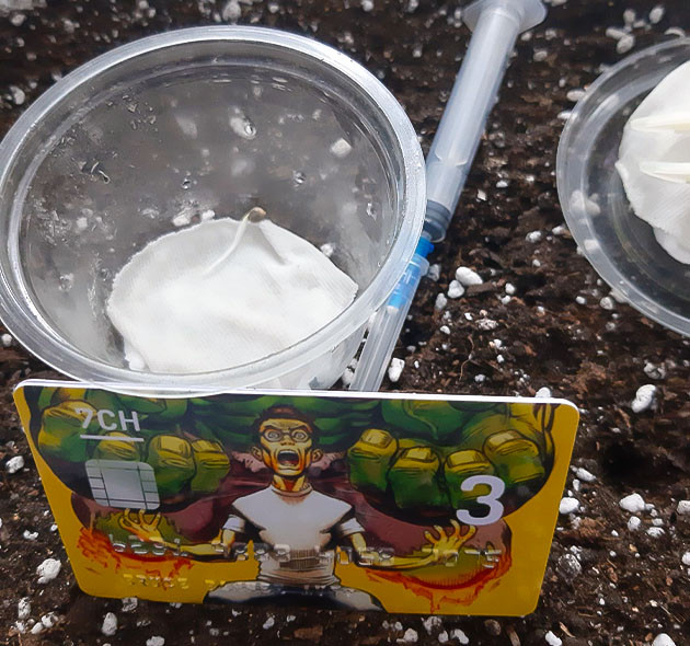 Водо и воздухопроницаемый субстрат Состав субстрата для Bruce Banner Auto