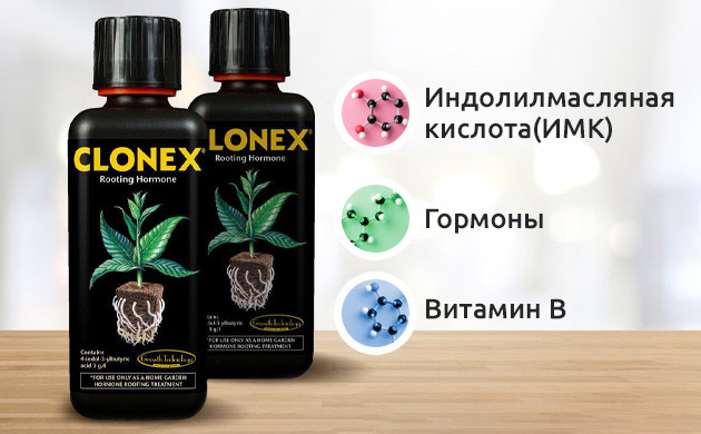 Состав Клонекса Корневой стимулятор Клонекс