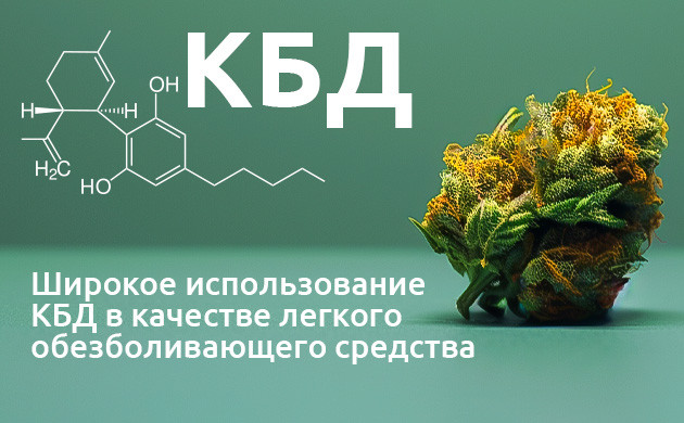 Механизмы обезболивания КБД