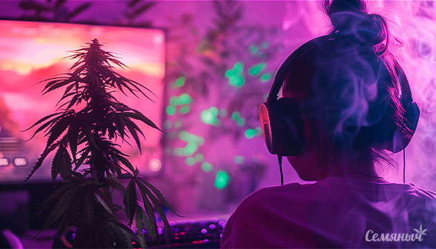 Влияние каннабиса на реакцию и успехи геймеров Как каннабис влияет на реакцию в киберспорте