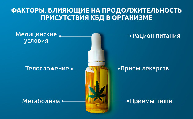 Другие факторы длительности распада КБД в организме Другие факторы длительности распада КБД в организме