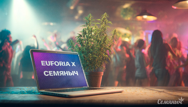 Гроурепорт сорта Euforia X от «Семяныча»