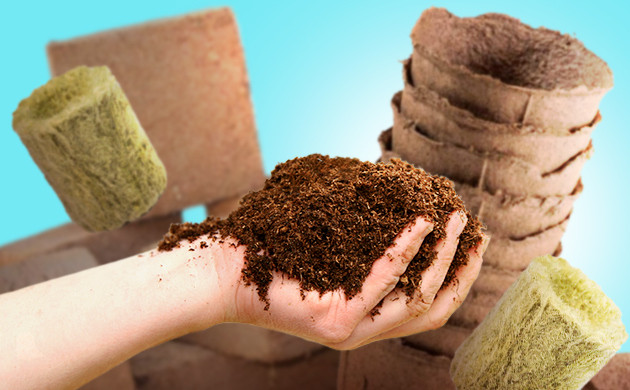 Рекомендации по выбору среды для клонов Выбор среды для выращивания клонов конопли