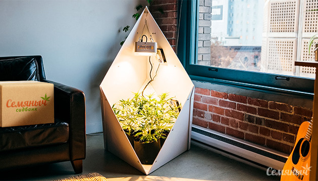 Система выращивания Leaflit Система выращивания конопли Leaflit