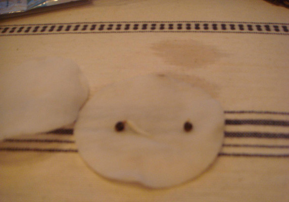 Проращивание семян 2 семечка марихуаны на ватном диске