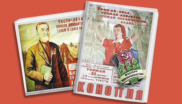 Коноплеводство в СССР Газетыо коноплеводстве и медаль в СССР