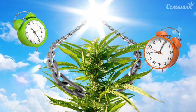 Свет для фотиков